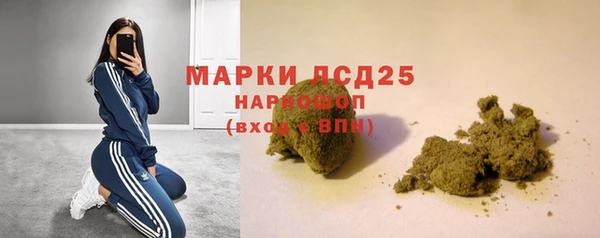 сатива Богородск