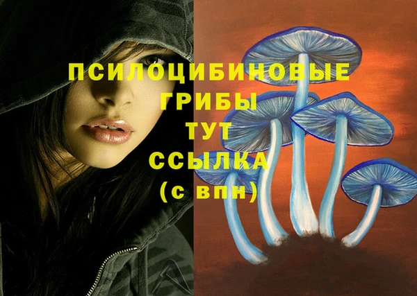 меф Белоозёрский