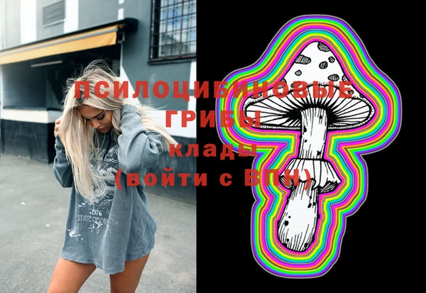 скорость Белокуриха