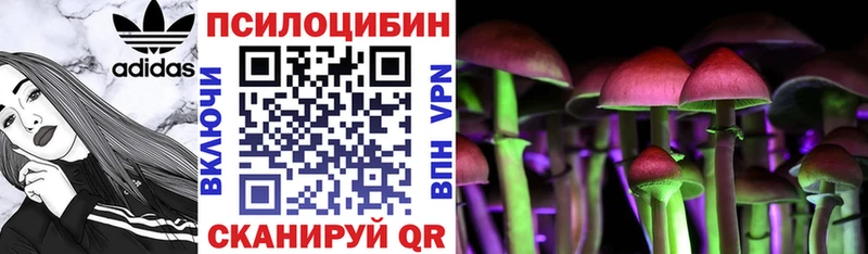 Псилоцибиновые грибы Cubensis  Верещагино 